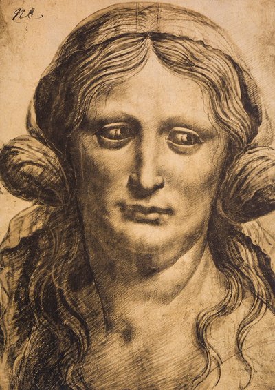 Female Portrait by Leonardo da Vinci